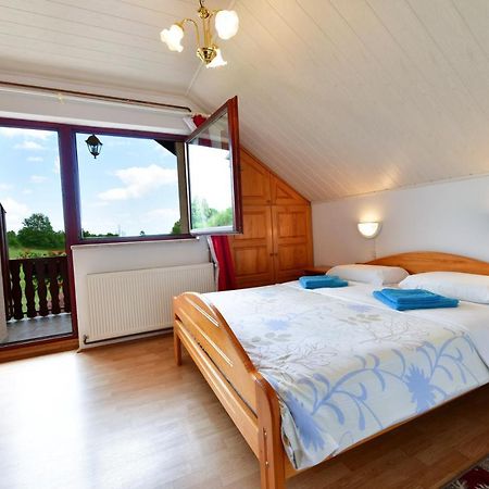 Guesthouse Ante Hodak Seliste Dreznicko Εξωτερικό φωτογραφία