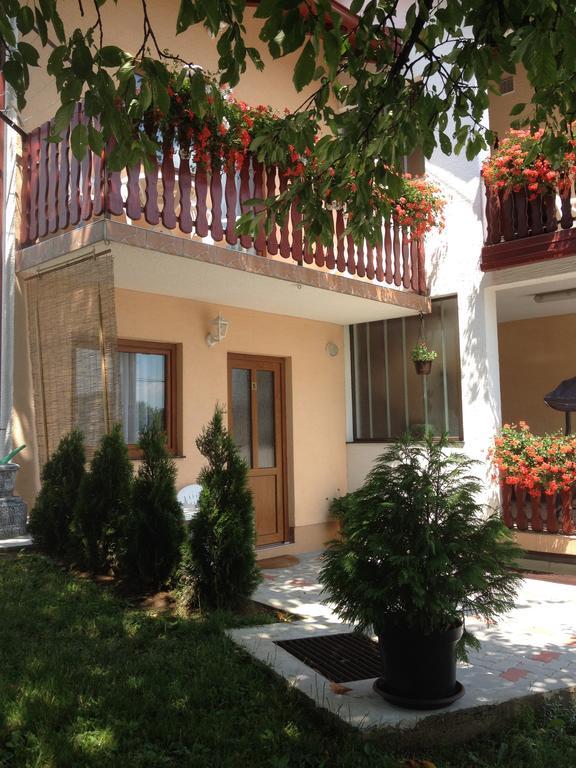 Guesthouse Ante Hodak Seliste Dreznicko Εξωτερικό φωτογραφία