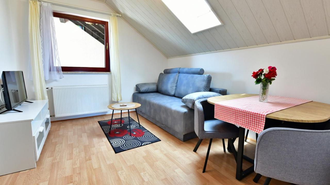 Guesthouse Ante Hodak Seliste Dreznicko Εξωτερικό φωτογραφία