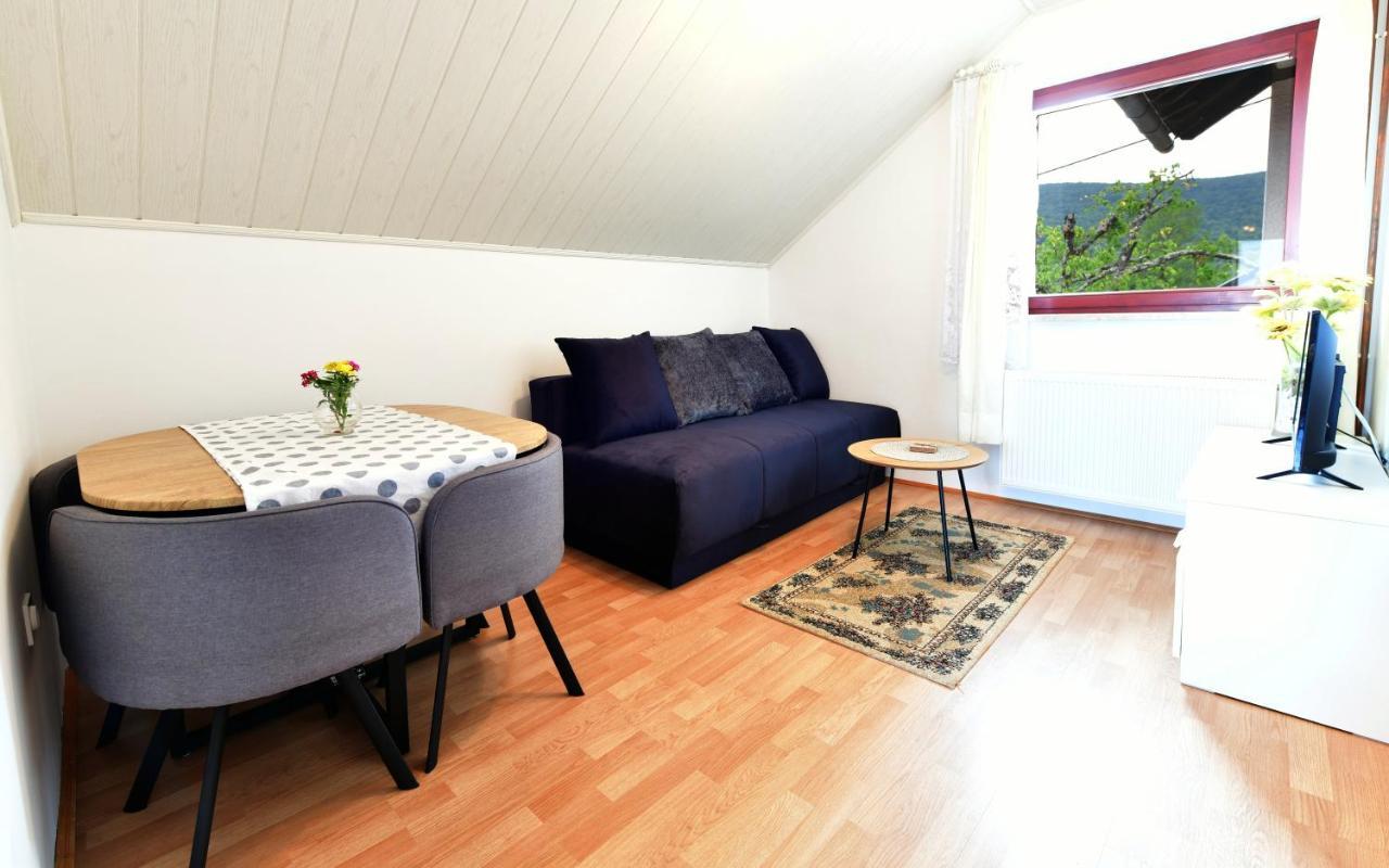 Guesthouse Ante Hodak Seliste Dreznicko Εξωτερικό φωτογραφία