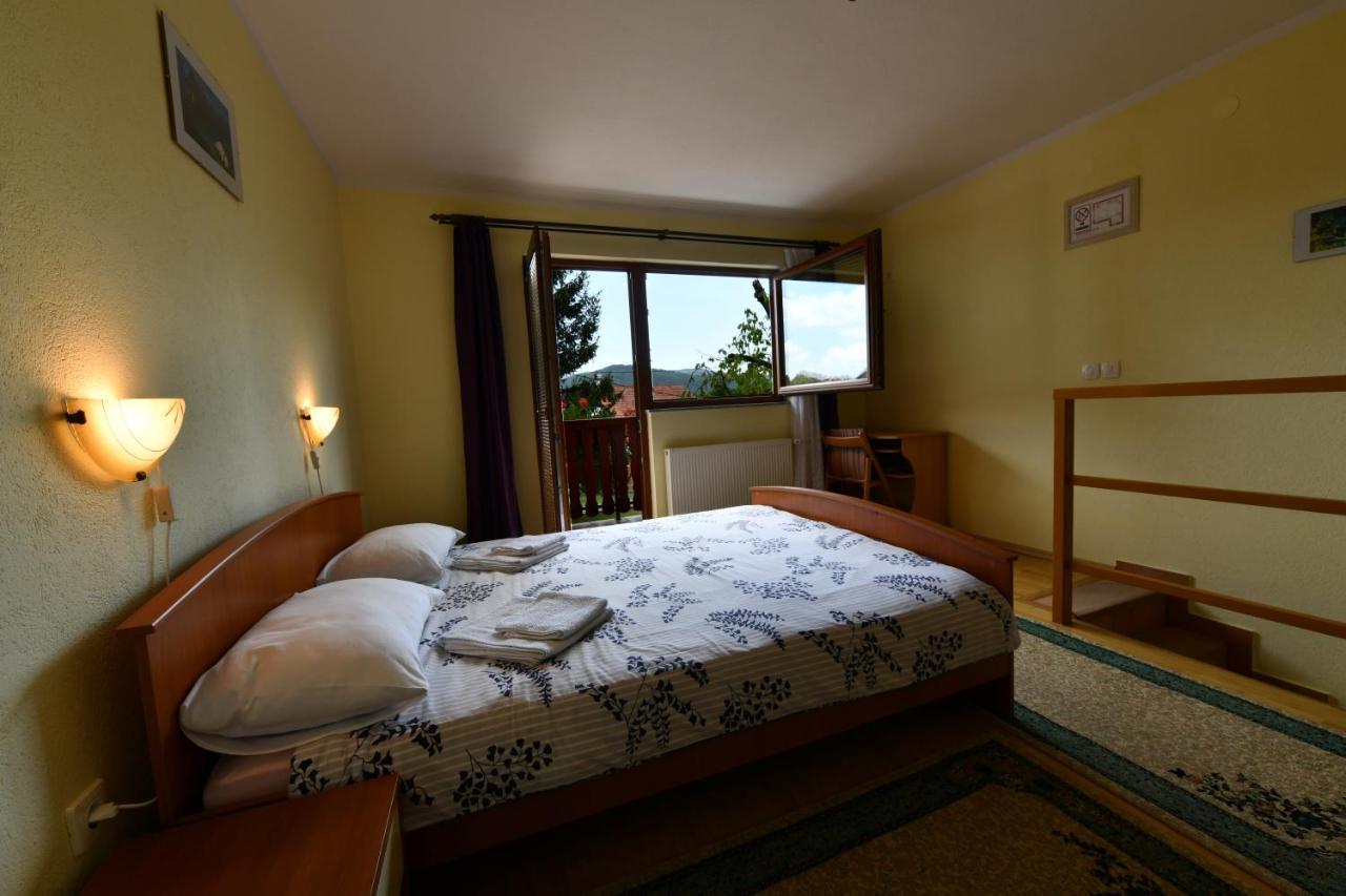 Guesthouse Ante Hodak Seliste Dreznicko Εξωτερικό φωτογραφία